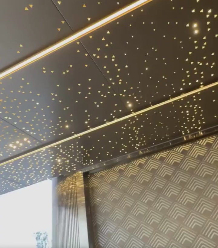 Custom Commercial Aluminum Solid Panel Canopy with Fiber Optic Starry Sky Effect